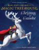 Magic_Tree_House_Deluxe_Holiday_Edition__Christmas_in_Camelot