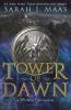 Tower_of_dawn___6_
