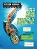 Saving_the_sea_turtle