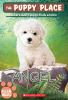 Puppy_Place___Angel