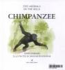 Chimpanzee