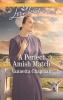 A_Perfect_Amish_Match__Original_