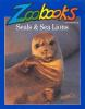 Seals___Sea_Llions