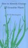 How_to_identify_grasses_and_grasslike_plants__sedges_and_rushes_