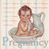 The_little_big_book_of_pregnancy