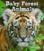 Baby_forest_animals