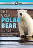 The_great_polar_bear_feast