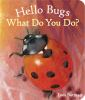 Hello_bugs__what_do_you_do_