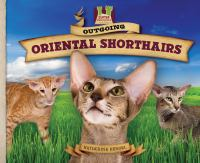 Outgoing_Oriental_shorthairs