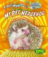 My_pet_hedgehog