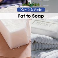 Fat_to_soap